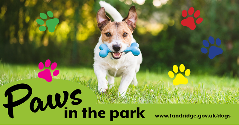 Paws in the park